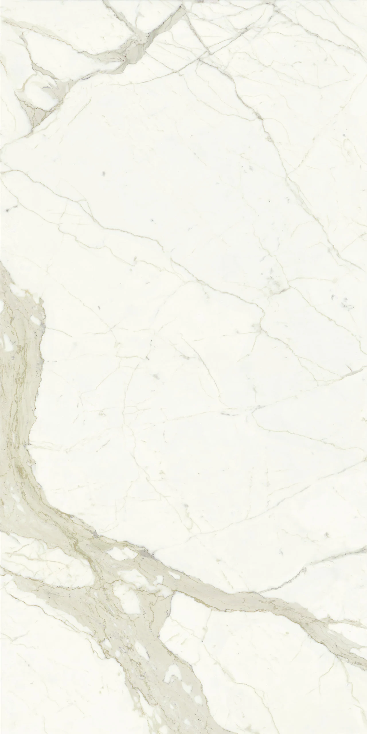MARMI MAXFINE calacatta
