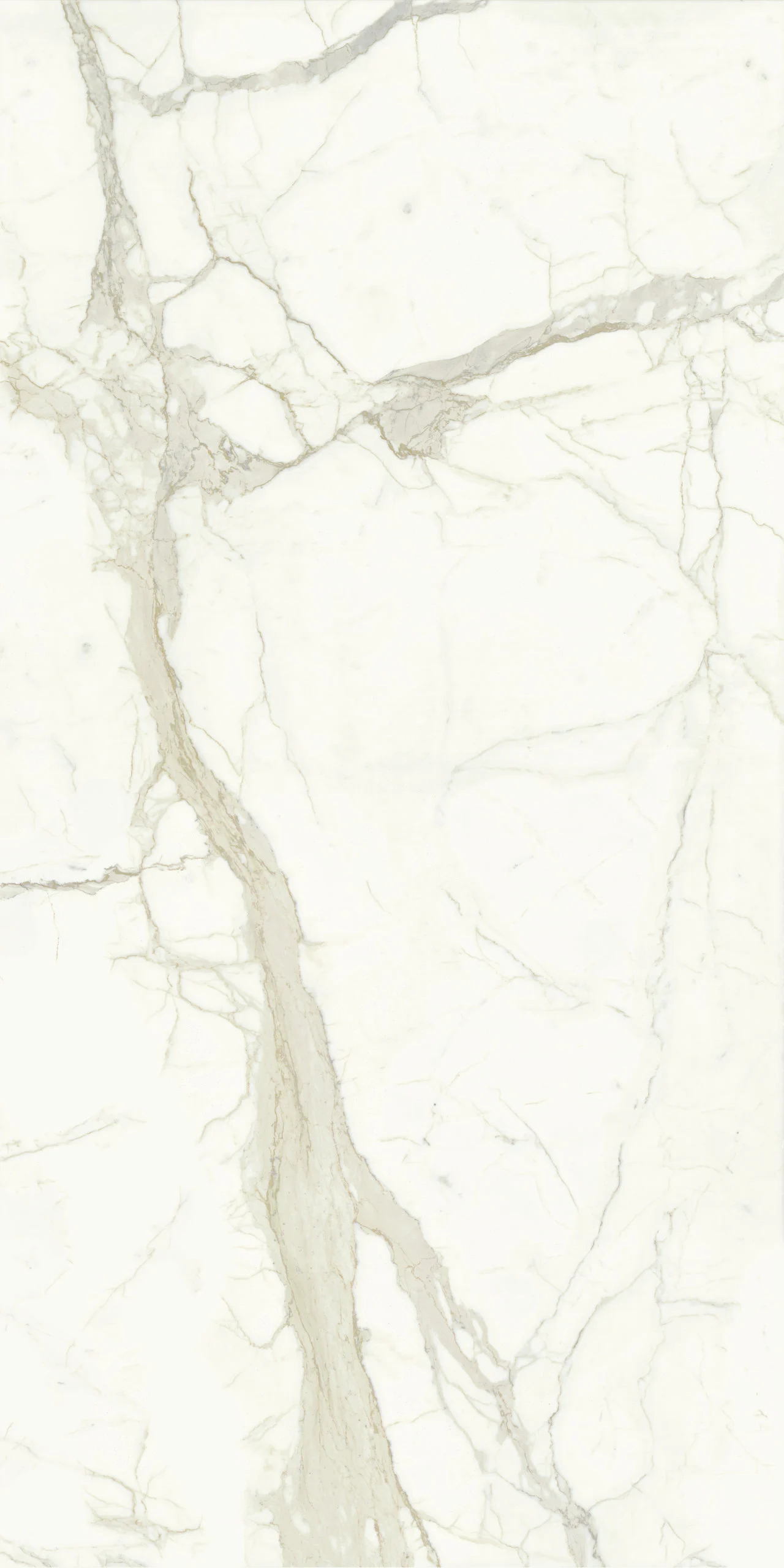 MARMI MAXFINE calacatta