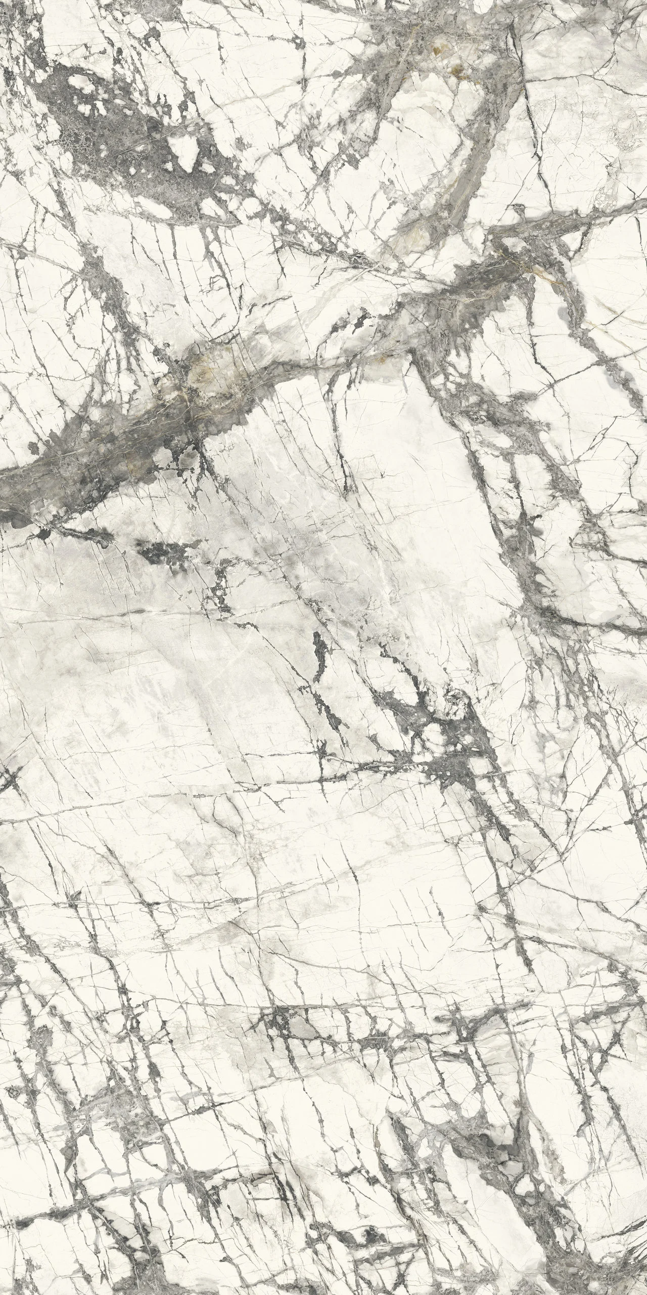 MARMI MAXFINE Calacatta Grey