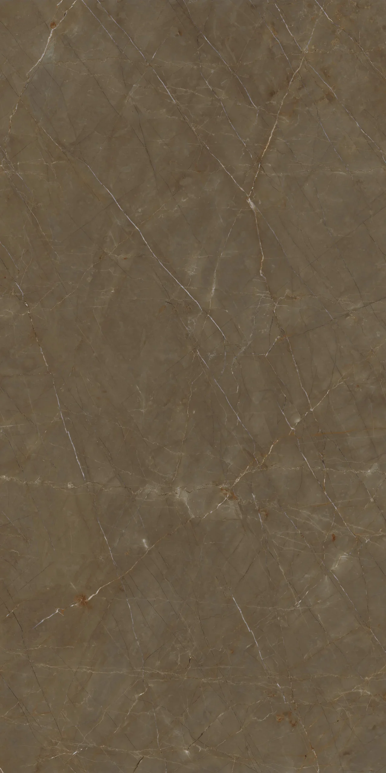 MARMI MAXFINE Gaudi Stone Extra