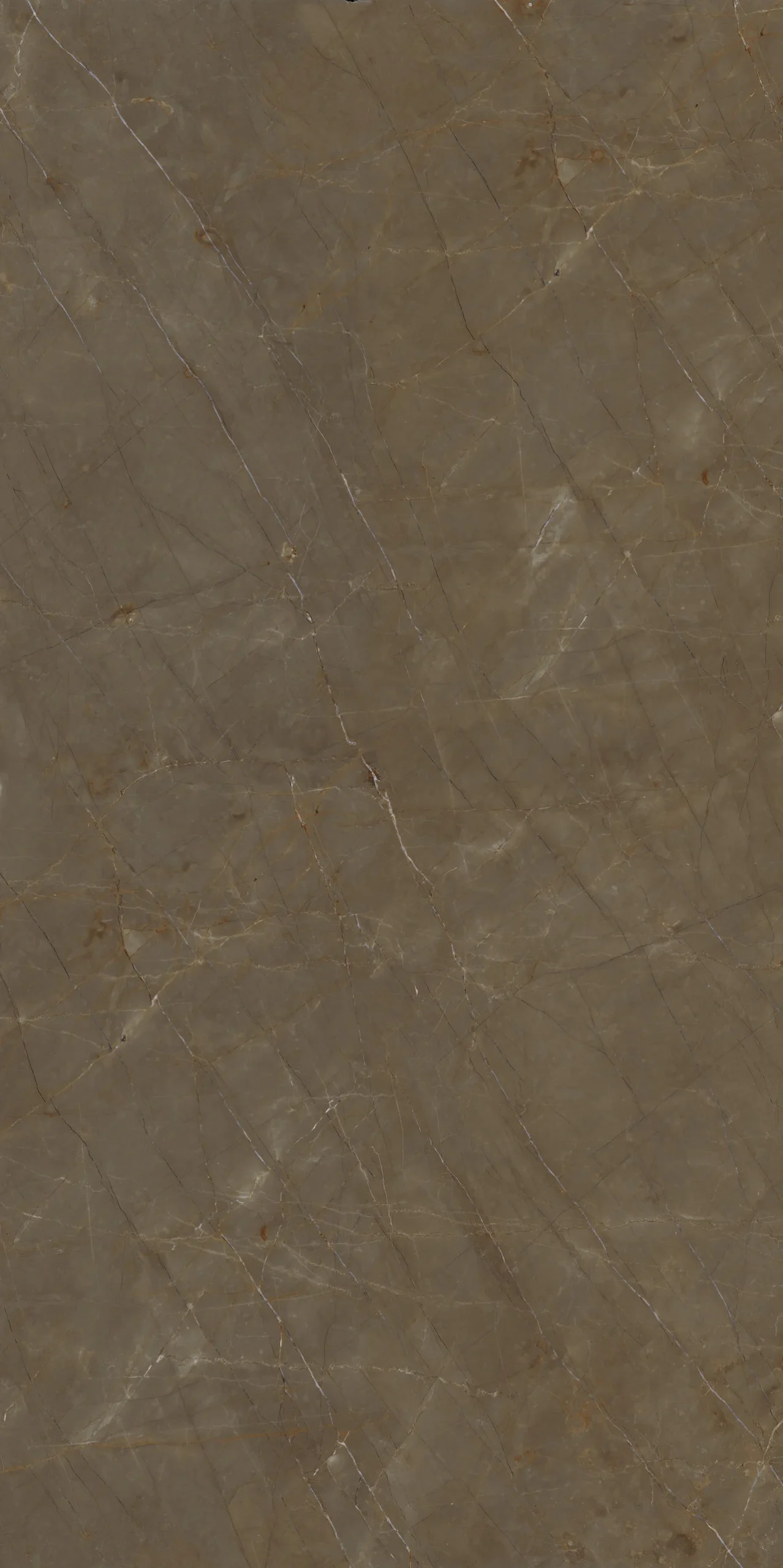 MARMI MAXFINE Gaudi Stone Extra