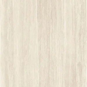 AVIGNON BONE