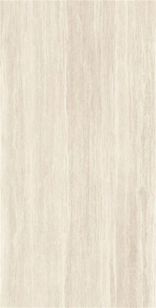 Avignon Bone