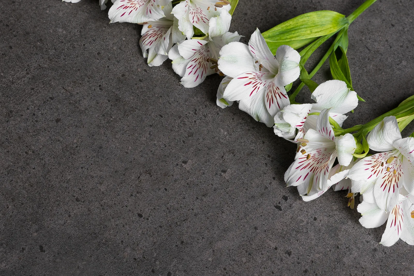 CITYSTONE MAXFINE - фото коллекции