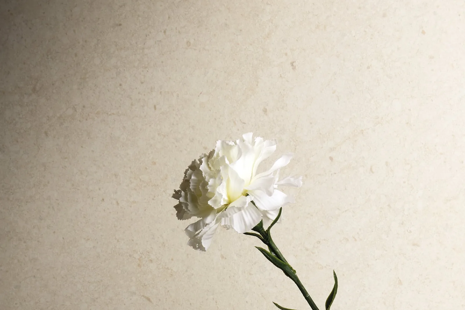 MOON CREAM - фото коллекции