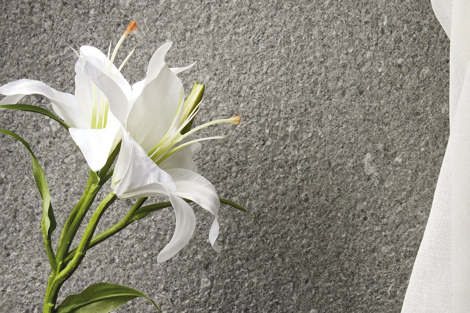 SILVER GREY - фото коллекции